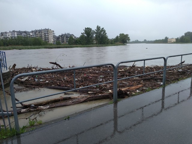 Tak w środę po południu wygladał Wisłok w Rzeszowie. 