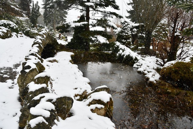 Ogród na Rozstajach w Młodzawach Małych. Jak wygląda zimą? >>>Więcej zdjęć na kolejnych slajdach