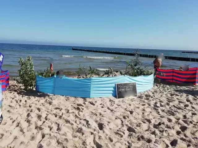 Pomysłowi" turyści ozdobili parawan na plaży gałęziami z chronionego prawem  wybrzeża wydmowego | Dziennik Bałtycki