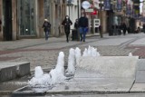 Wrocław: Dwie znane fontanny mają awarie! Kiedy ruszą pozostałe wrocławskie wodotryski?