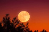 Pełnia Różowego Księżyca [7/8 kwietnia 2020]. Kolejna superpełnia w tym roku!