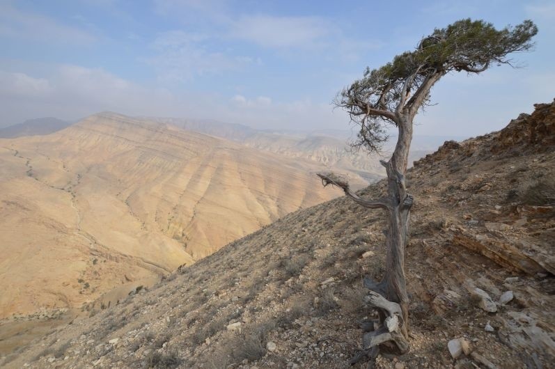 Krakowscy archeolodzy kontynuują badania w południowej Jordanii