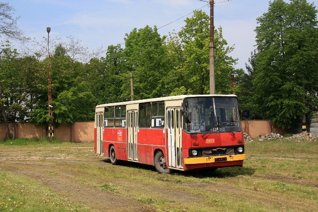 Sprawdziliśmy, jakie zabytkowe autobusy są we Wrocławiu. Niektóre z nich czekają na remont, inne można za kilkaset złotych wynająć. Niestety, w dalszym ciągu w naszym mieście nie funkcjonuje coś takiego jak Zabytkowa Linia Autobusowa. Jeżeli jednak uda się wyremontować ostatniego Ikarusa, to niewykluczone, że zostanie ona uruchomiona.