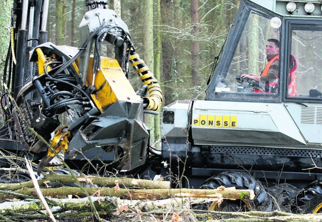 Leśne drogi w Beskidach są poszerzane ze względów m.in. przeciwpożarowych, dlatego pod piły idą często zdrowe drzewa