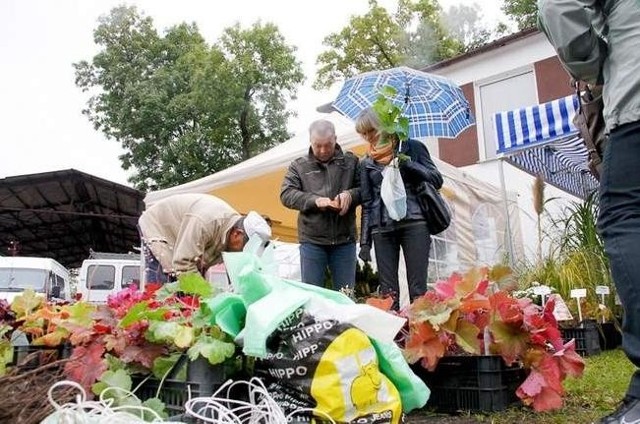 Każdej jesieni odbywają się także targi ogrodnicze w Strzelinie.
