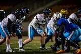 Panthers Wrocław przygotowują się do sezonu w krajowym składzie. Amerykanie dołączą pod koniec kwietnia