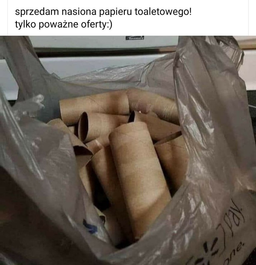 Koronawirus z przymrużeniem oka, czyli pięć minut sławy papieru toaletowego [MEMY] 