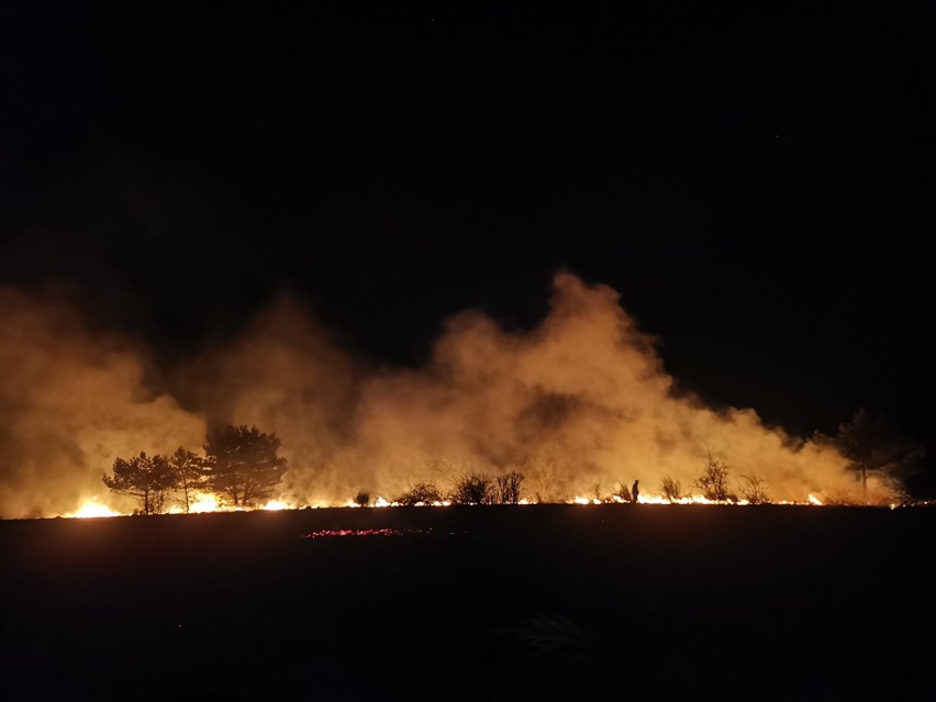 Pańki. Pożar traw przy Szosie Kruszewskiej na obszarze 2 hektarów. Cztery zastępy strażaków przez dwie godziny walczyło z ogniem [ZDJĘCIA]