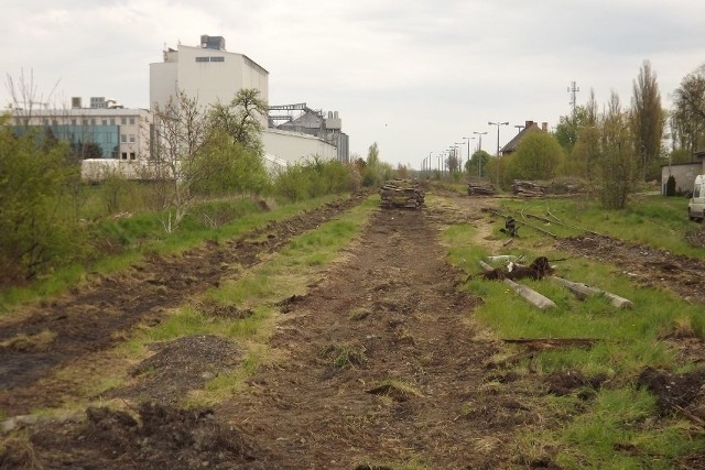 Tory na linii kolejowej 209 przebiegającej przez Golub-Dobryzń zostały rozebrane w 2017 roku