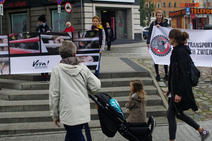 Poznań: Protest obrońców praw zwierząt