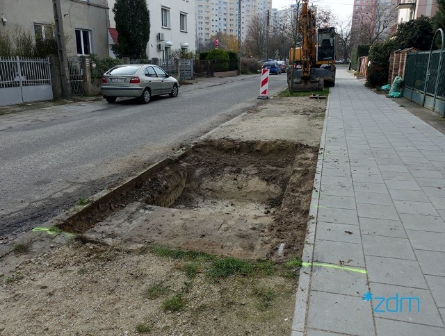 Na Grunwaldzie pojawią się nowe drzewa. Trwa przygotowanie do nasadzeń