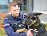 Gdańska policja - nowy pies policyjny w komendzie [ZDJĘCIA]