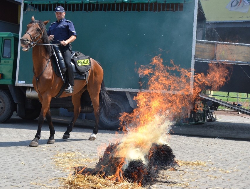 Święto Policji Będzin 2014