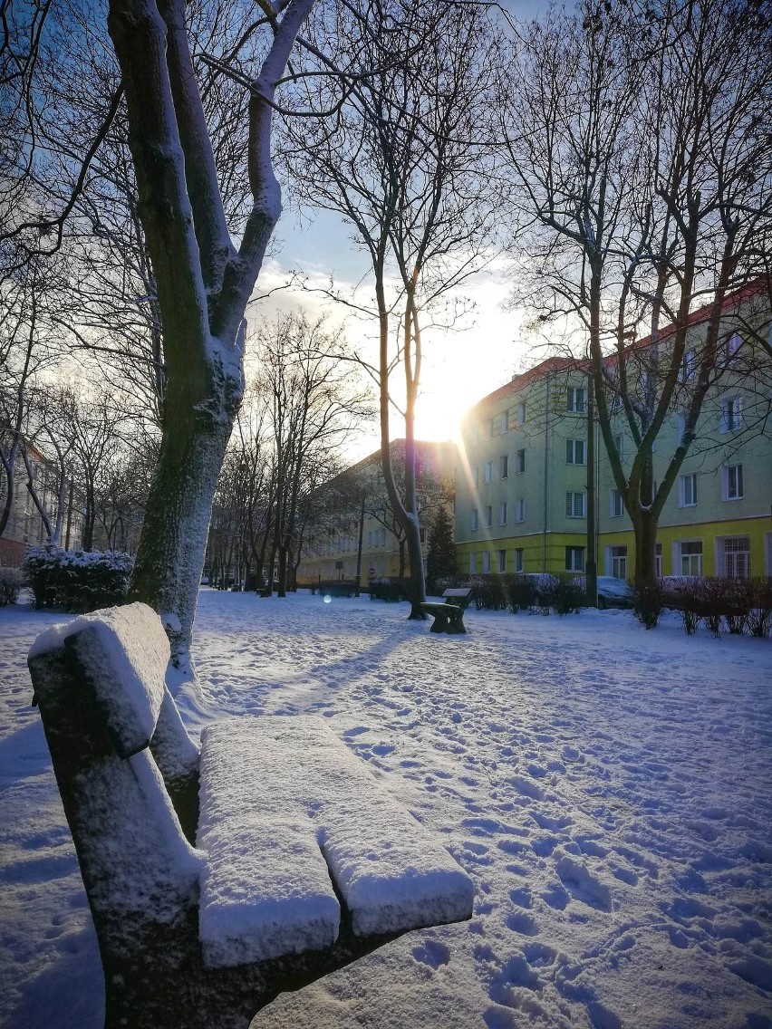 Piękna zima w Bydgoszczy w obiektywie mieszkańców. Zobaczcie zdjęcia z Instagrama