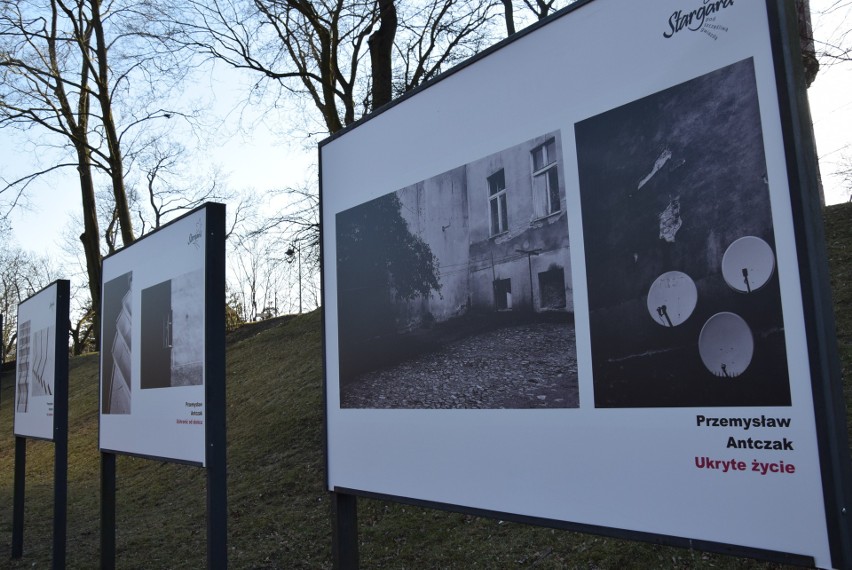 Nowa wystawa w parku Chrobrego w Stargardzie. Można tam podziwiać zdjęcia mieszkańców 