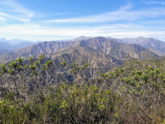 13 stycznia zaginął Julian Sands. Aktor wyruszył na wędrówkę górską na Mount Baldy, niedaleko Los Angeles