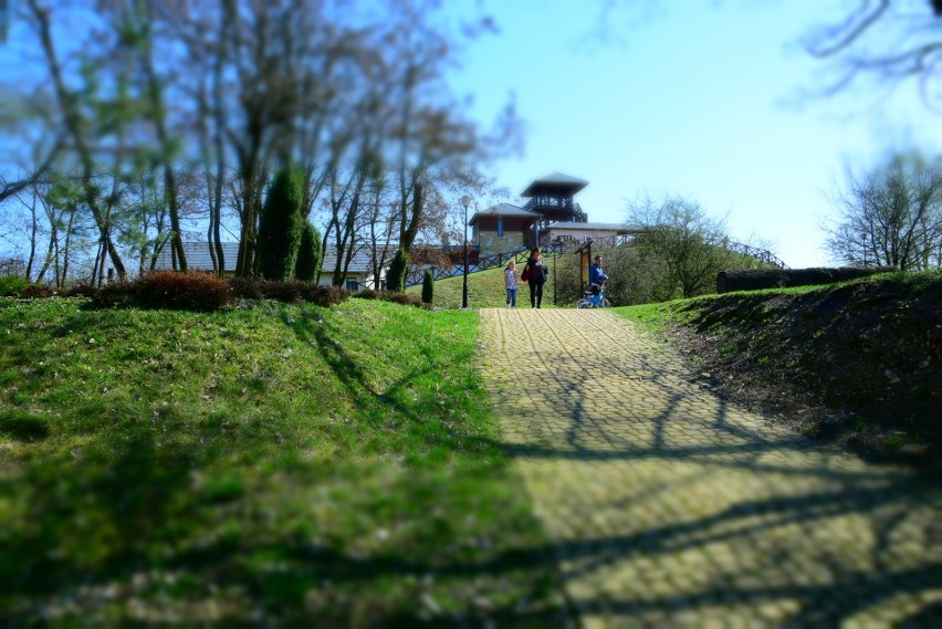 Śląski Ogród Botaniczny. Międzynarodowy Dzień Ptaków