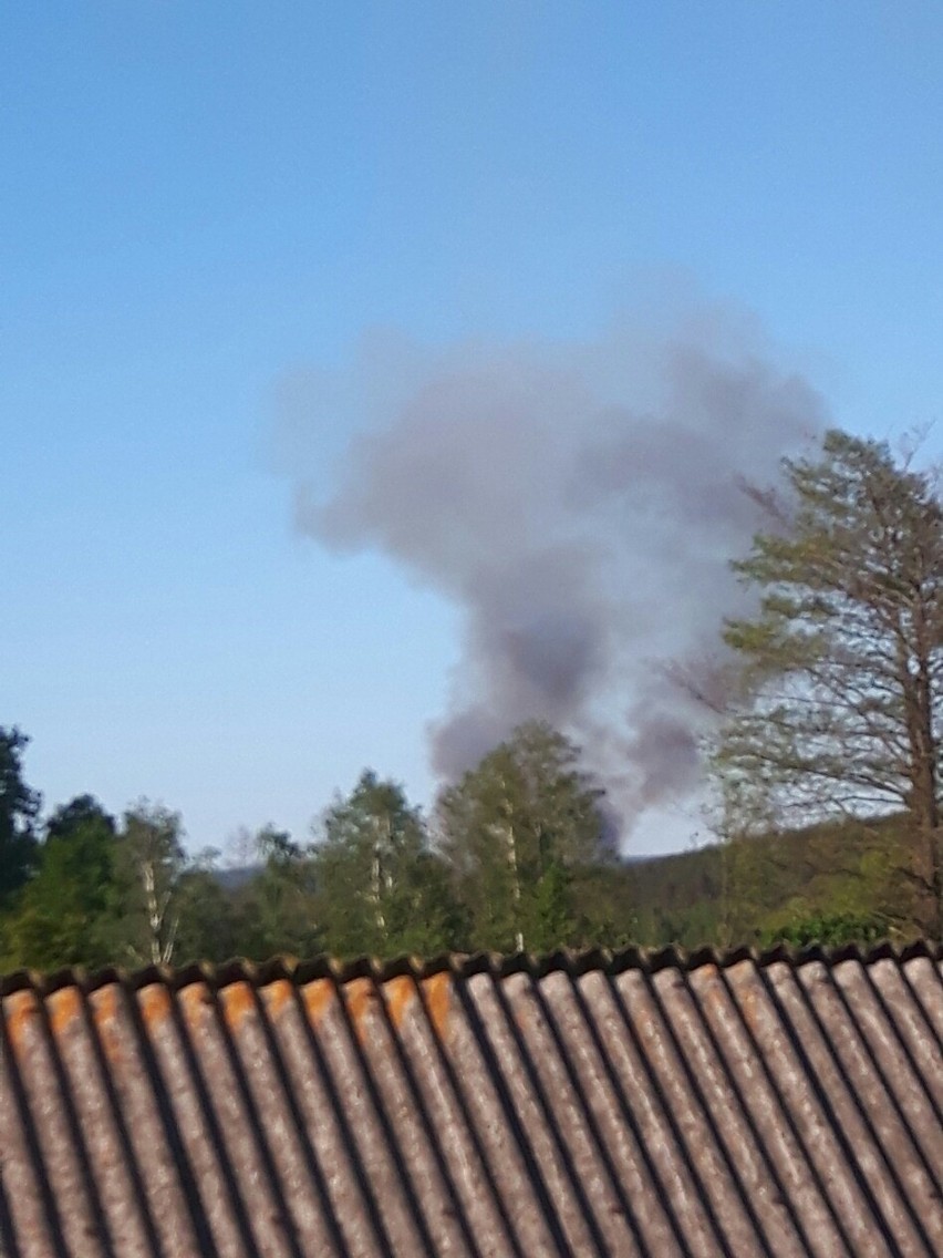 Ciosowa, gmina Miedziana Góra. Płonął las, dym było widać z kilku kilometrów