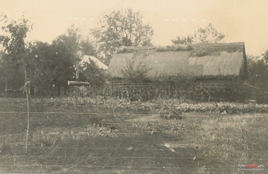 Chałupa i budynki gospodarcze w Skalbmierzu. 1939 rok