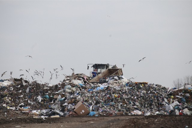 Ostateczna wysokość podwyżki za wywóz śmieci w Opolu ma być ustalona i zatwierdzona jesienią tego roku.