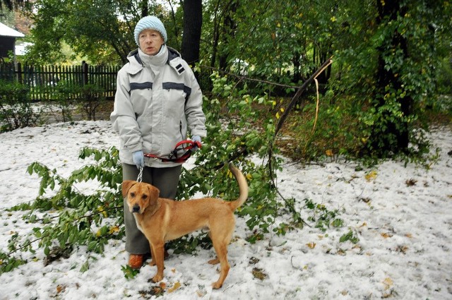- W całym parku Leśniczówka w Radomiu jest wiele połamanych gałęzi. Aż strach spacerować tu z psem &#8211; mówi Ewa Kolecka.