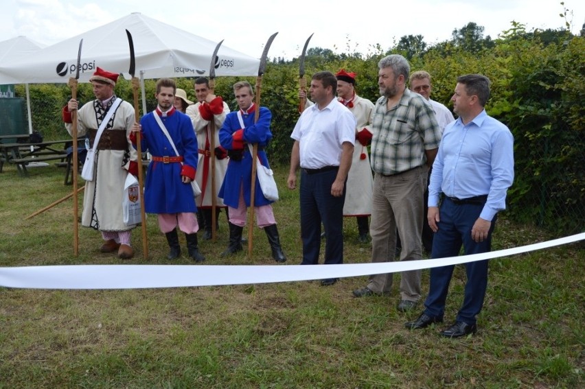 Labirynt kukurydziany w Kurozwękach już otwarty