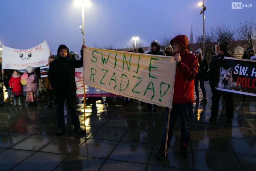 Szczecinianie protestują przeciw odstrzałowi dzików. "To barbarzyńskie rozporządzenie!" [ZDJĘCIA, WIDEO]