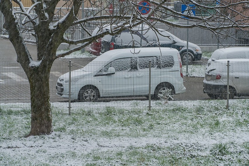 Zimowy Nowy Sącz w kwietniu