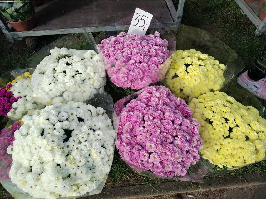 Wszystkich Świętych 2022. Ceny zniczy, kwiatów przy cmentarzach w Białymstoku. Sprawdź, na jaki wydatek trzeba się szykować