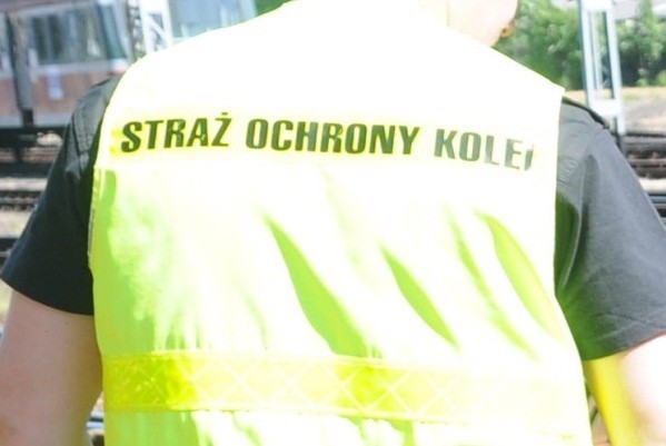 Ujętych mieszkańców Kędzierzyna-Koźla sokiści przekazali policjantom.