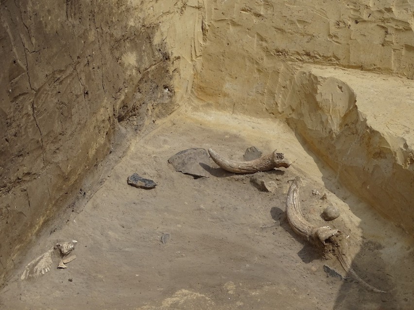 Odkrycia archeologiczne sprzed 5 tysięcy lat przy budowie S7 koło Słomnik