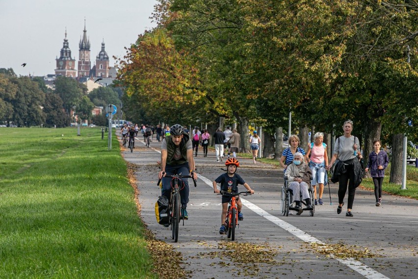 BŁONIA...