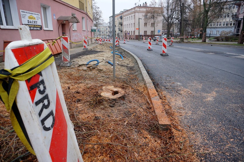 Dodatkowa wycinka drzew w centrum Lublina. Powód? Przebudowa Al. Racławickich i ul. Lipowej