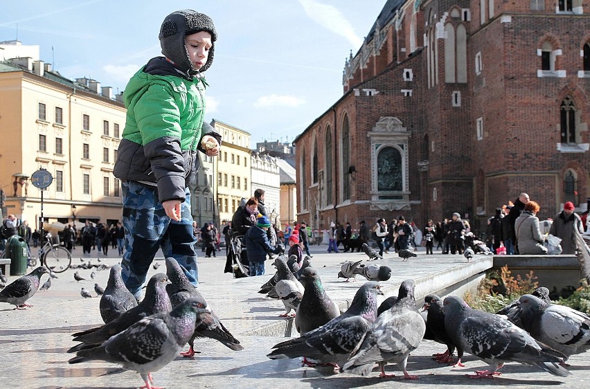 Świąteczny spacer po Rynku Głównym [ZDJĘCIA]