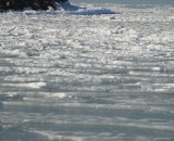 Gdynia. Lód załamał się pod trójką spacerowiczów, w tym kilkuletnią dziewczynką 