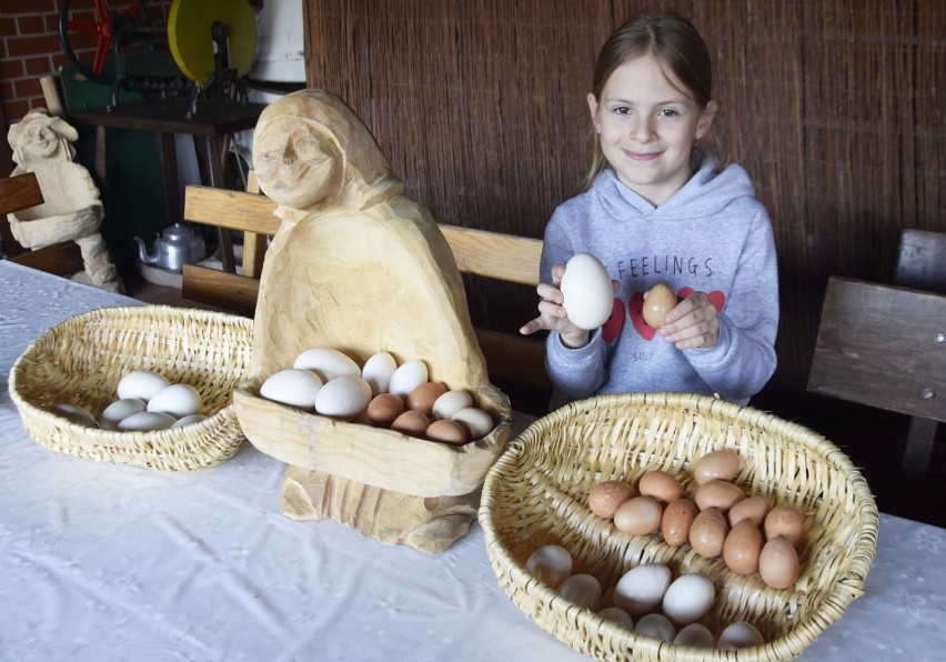 Ośmioletnia Vladzia z Ukrainy prezentowała jaja kurze,...