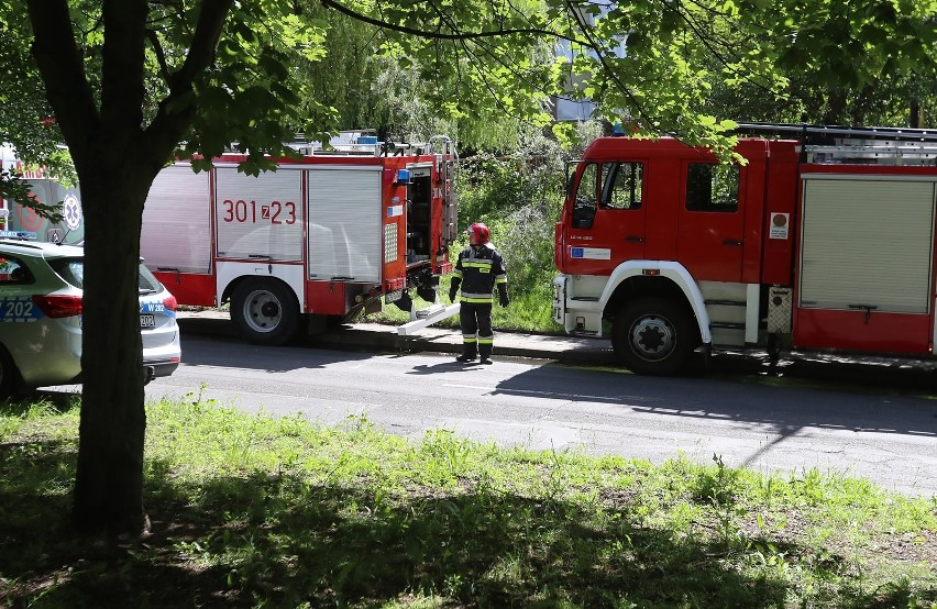 Wybuch gazu przy ul. Ofiar Oświęcimia w Szczecinie. Osiem osób poszkodowanych [wideo, zdjęcia]