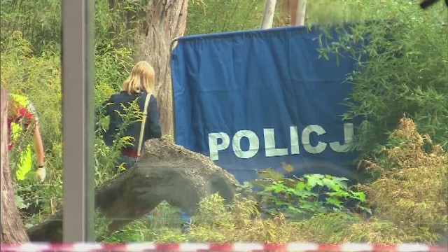 Dyrektor wrocławskiego zoo w rozmowie z dziennikarzami sugerował, że pracownik nie powinien był znaleźć się w miejscu, gdzie doszło do ataku.