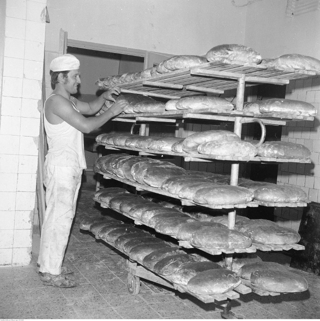 24 lipca 1970 roku miało miejsce otwarcie największego w Bydgoszczy kombinatu piekarniczego przy ul. Gajowej, całkowicie zautomatyzowanego. Przez wiele lat dostarczał on najwięcej chleba do bydgoskich sklepów. Wadą była tylko jego zbyt mała moc przerobowa. Pieczywo pieczone było na trzy zmiany, w związku z czym przed południem w sklepach dostępnych był tylko tzw. chleb z nocy, już prawie czerstwy.