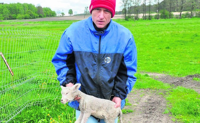 Hoduję owce od ośmiu lat, z tego utrzymuję moją rodzinę. Teraz przez zatruwanie rzeki ściekami od początku roku padło mi prawie 50 sztuk, to jagnię ostatniej nocy - mówi Marek Olejnik.