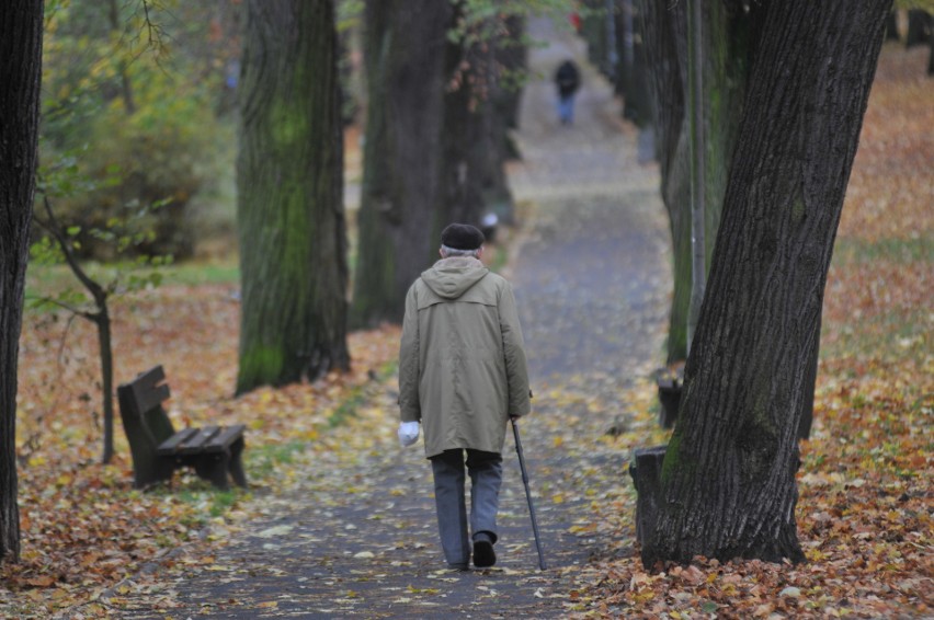 Na oszustwa narażone są często osoby starsze, seniorzy....