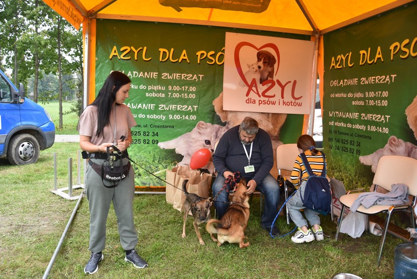 Dzień Babiego Lata w Tarnowie wyglądał właśnie tak