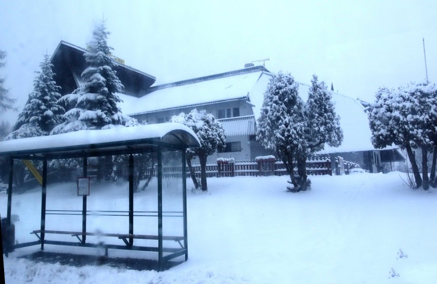 Nowy Sącz. Zima trzyma, a odwykliśmy od śniegu i mrozu