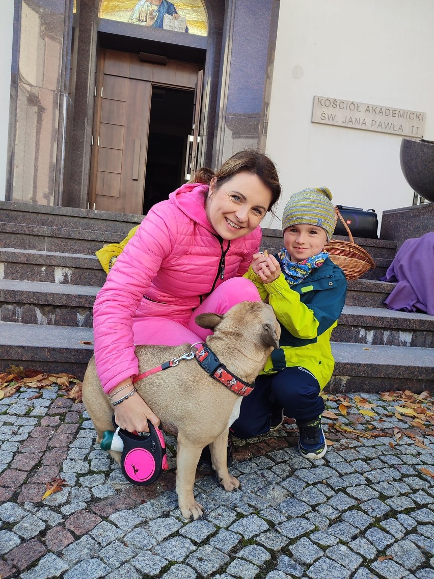 Psy, koty i inne zwierzęta w Kielcach pobłogosławione z okazji Dnia Świętego Franciszka z Asyżu 