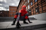 Bydgoszcz ma własnego superbohatera. Spider-Man chroni miasto i rozwesela mieszkańców