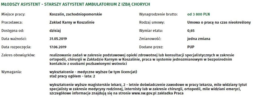 Szukasz pracy w Koszalinie i w okolicach? Sprawdź koniecznie...