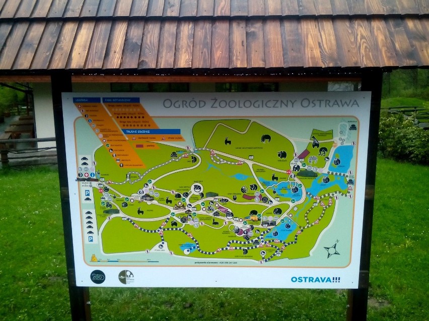 Zoo w Ostrawie nastawia się na Polaków. W Majówkę otwarte!