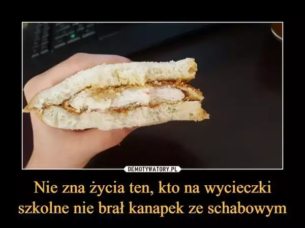 Zobaczcie najlepszy memy o Polakach!