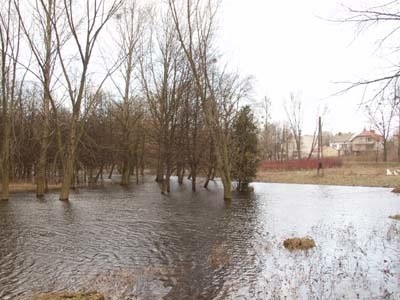 Wody Orzyca wdarły się do miejskiego parku w Makowie