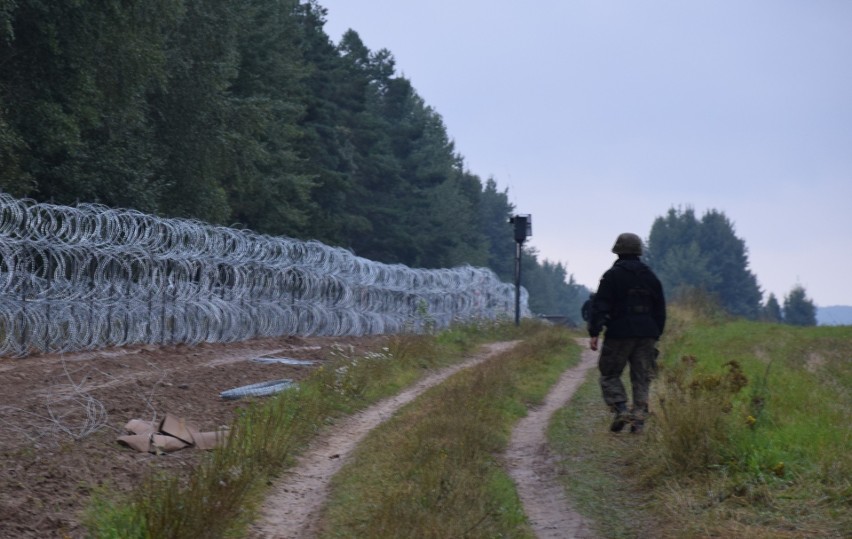 Kilka warstw drutu kolczastego. Ruszyła budowa płotu na granicy polsko-białoruskiej